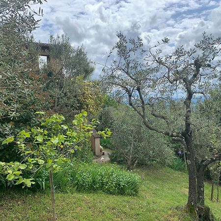 Podere Casallorto Volterra Buitenkant foto