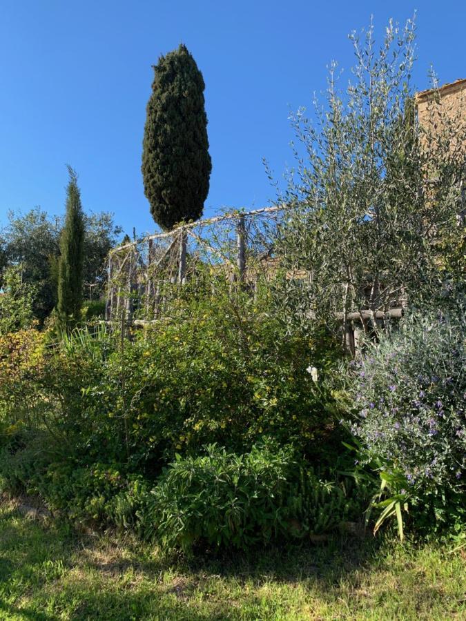 Podere Casallorto Volterra Buitenkant foto